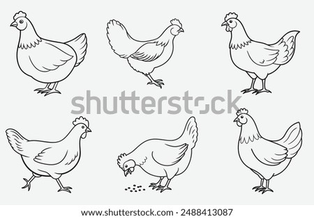 Elegant Hen Line Art Set Vector, High-Quality and Versatile Designs