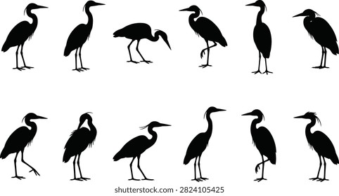 Elegant hero designs featuring graceful heron bird silhouettes and nature wildlife.