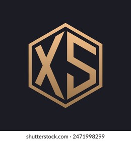 Elegant Hexagon Letter XS Logo Design. Initial Luxurious XS Logo Template