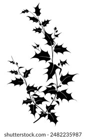 Elegant holly branch silhouette with leaves and berries