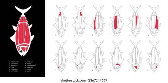 Elegant horizontal Tuna Cuts diagram (ronqueo). Parts of tuna written in Spanish. 