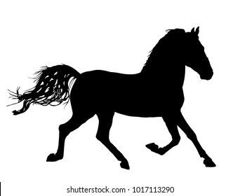 Elegant horse in gallop, vector silhouette illustration. Horse race, isolated on white background. Black horse silhouette. Farm animal.