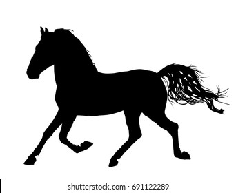 Elegant horse in gallop, vector silhouette illustration. Horse race, isolated on white background. Black horse silhouette. Farm animal.