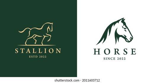 Elegant horse logo icons. Royal stallion symbol design. Equine stables sign. Equestrian brand emblems. Vector illustration.