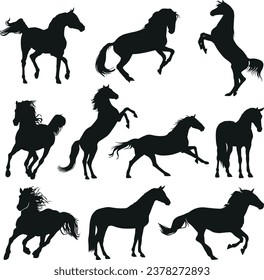 Elegant Horses silhouette vector collection