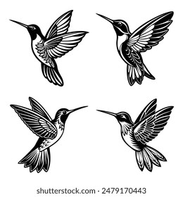 Elegant Hummingbird Silhouette and Logo Designs: Stunning Black and White Bird Icons for Your Projects.