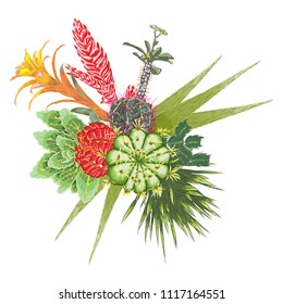 Elegant ikebana bouquet watercolor imitation of succulent, rose, cactus , air plant, Bromelia, aloe, vera, Houseplant  set. Wedding pastel flowers. All elements are made of real plants and editable.