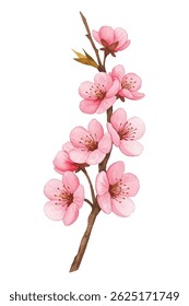 Elegant  illustration of a cherry blossom branch with soft pink blooms. Perfect for spring decor, greeting cards, and branding. Captures natures renewal and delicate beauty.