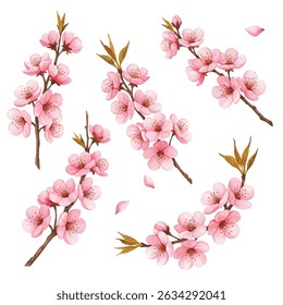Elegant  illustration of a cherry blossom branch with soft pink blooms. Perfect for spring decor, greeting cards, and branding. Captures natures renewal and delicate beauty.