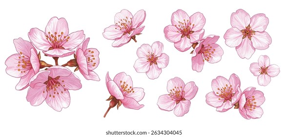 Elegant  illustration of a cherry blossom branch with soft pink blooms. Perfect for spring decor, greeting cards, and branding. Captures nature’s renewal and delicate beauty.