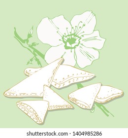 Elegant illustration with cookies and almond flower for your design. Hand drawn cookies with filling and sketch of flower on light green background