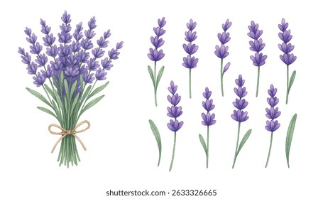 Elegant  illustration of a fresh lavender bouquet, with vibrant purple blooms and lush greenery. Perfect for botanical designs, home decor, branding, or invitations.