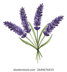 Ilustração elegante de um bouquet de lavanda fresco, com flores roxas vibrantes e verduras exuberantes. Perfeito para projetos botânicos, decoração de casa, marca, ou convites.