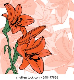 Elegant illustration of lilly flowers. vector illustration