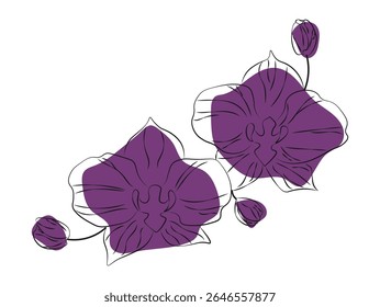 Elegante ilustração de flores de orquídea com botões. Arte em linha minimalista com acentos roxos. Perfeito para design floral, convites, arte de tatuagem e decoração de natureza.Ilustração vetor