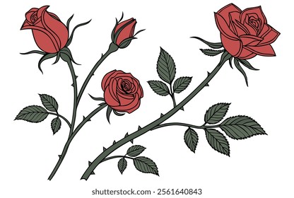 Elegant Illustration of Red Roses with Thorns and Green Leaves on White Background.