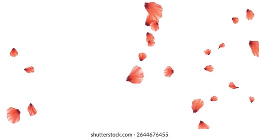 Elegant  illustration of scattered red and orange petals on a white background. Perfect for romantic designs, invitations, floral decor, and artistic projects. Vibrant, high-quality, and eye-catching.