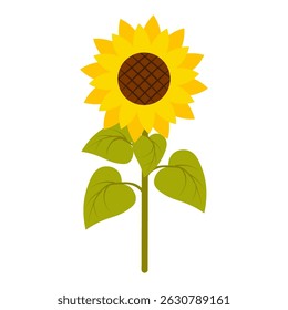 Elegant illustration of a vibrant sunflower with a detailed center and lush green leaves. Perfect for nature-themed designs, floral compositions, eco-friendly projects. Vector Illustration