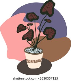 Elegant Indoor Plant in Decorative White Pot