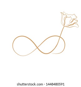 Elegant infinity sign, vector illustration