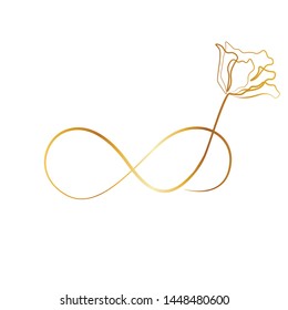 Elegant infinity sign, vector illustration