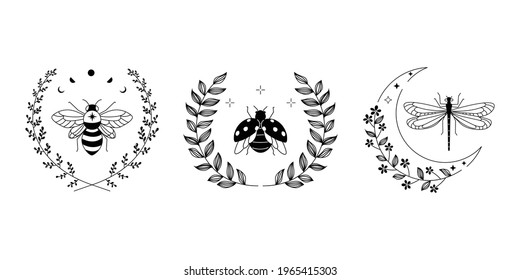 Elegant insect logo with nature wreath. Bee, ladybug and dragonfly in esoteric style. Flat vector design