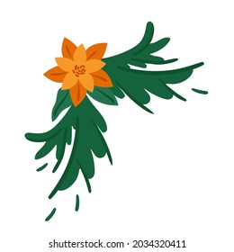 Elegant isolated spruce branch with poinsettia. Flat vector illustration of decorative element for christmas and new year decoration