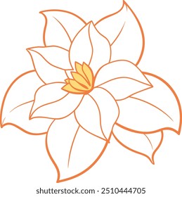 Elegant Jasmine Flower Vector Illustration