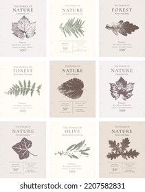 Elegant Label Collection for Natural organic herbal products. Vintage packaging design set for Cosmetics, Pharmacy, healthy food. Vector illustration