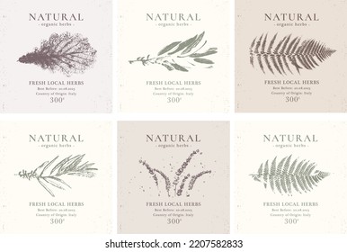 Elegant Label collection for Natural organic herbal products. Vintage packaging design set for Cosmetics, Pharmacy, healthy food. Vector illustration