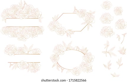 Elegant label set with outlined peony flowers and isolated elements for design on transparent background. Vector illustration with golden gradient for greeting card, vine label or stickers