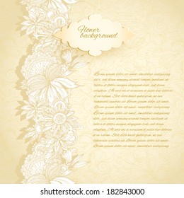elegant lace background