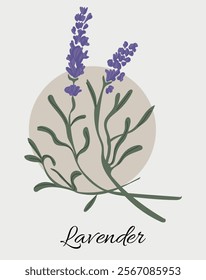 Elegant Lavender Botanical Artwork - Minimalist Floral Design