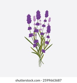 Elegant lavender bouquet illustration on a light background, perfect for spring designs
