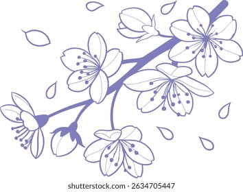 Elegant lavender cherry blossom branch illustration with falling petals on white background. Ideal for prints,  or digital design. Soft floral art with delicate botanical charm.