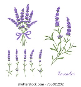 Elegant lavender collection: bouquet with a purple ribbon, flower buds