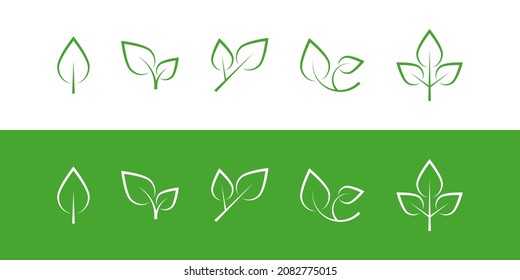Elegant leaf icons. Vector illustration.