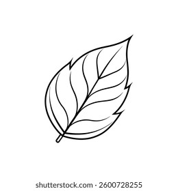 Elegant Leaf Line Art Design on White