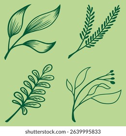Elegant Leaf Line Drawing Vector Set, Hand Drawn Botanical Plants, Minimal Floral Art for Stickers, Tattoos, and Branding