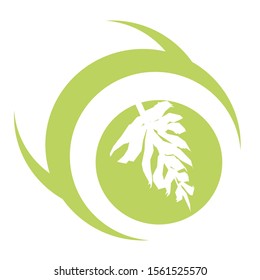 Elegant Leaf Logo On the Circle 