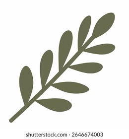 Elegant leaf stem with dark green rounded leaves, great for floral composition filler.