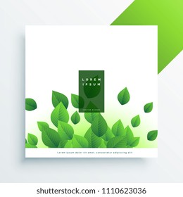 elegant leaves background with text space
