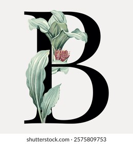 Elegant letter B with botanical elements. Botanical design blends nature with typography. Perfect for botanical-themed decor or typography art. Vintage art drawing, isolated vector element.