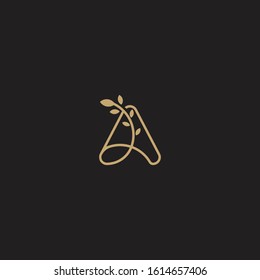 Elegant letter A initial logo design template vector illustration