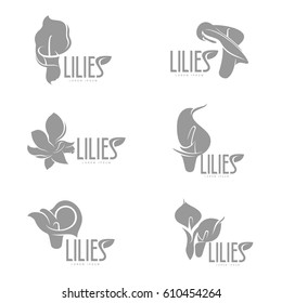Elegant lilies set line logo template. Graphic flower logotype with the text below, nature, environment, concept of growth and development. Vector illustration isolated on color background.