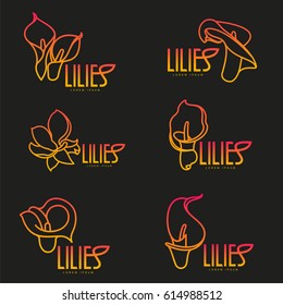 Elegant lilies set line logo template. Graphic flower logotype with the text below, nature, environment, concept of growth and development. Vector illustration isolated on color background.