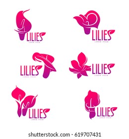 Elegant lilies set line logo template. Graphic flower logotype with the text below, nature, environment, concept of growth and development. Vector illustration isolated on color background.
