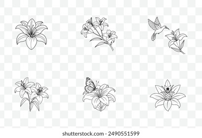 Elegant Lily Flower Line Art Vector Set for Intricate Botanical Illustrations and Artistic Design Projects