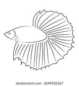 Elegante arte de linha de um peixe beta com barbatanas fluindo. Perfeito para projetos com tema de aquário, arte de tatuagem, livros de colorir, gráficos aquáticos decorativos e ilustrações de vida selvagem marinha.