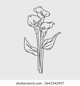 Elegant Line Art of Calla Lilies